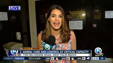 Palm beach animal care and control - Animal care and control special master hearings. Sec. 4-31. Interference with enforcement. Sec. 4-32. Violations, civil infractions, civil penalties. Sec. 4-33. First offenders course. Sec. 4-34. Dogs on the beach prohibited. Sec. 4-35. Community cats. Sec. 4-36. Electronic animal identification device implantation (EAID) for all cats. Contact Us Main Facility: …